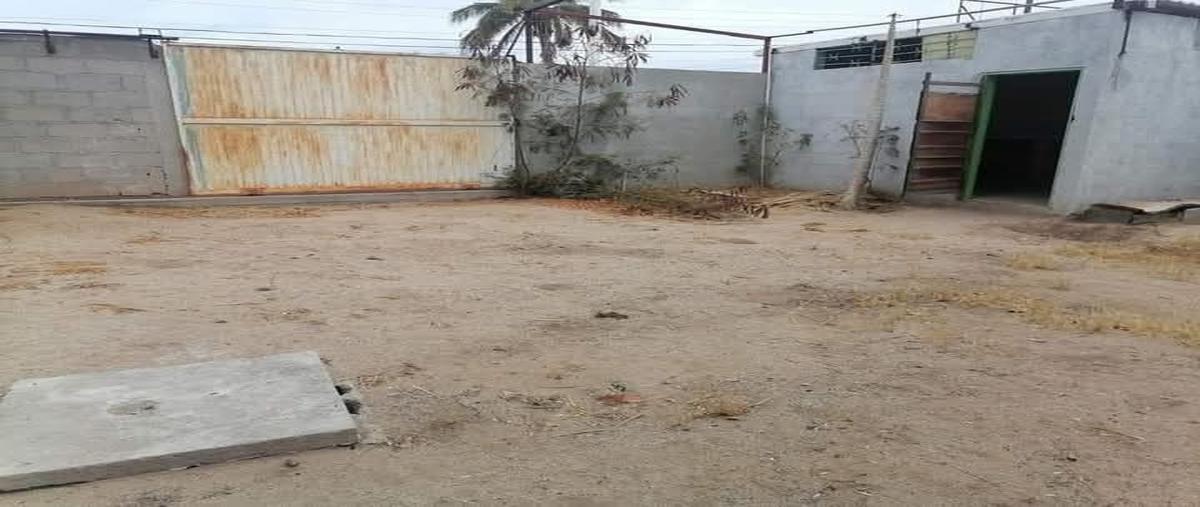 Foto de local en venta en  , calafia, la paz, baja california sur, 0 No. 05