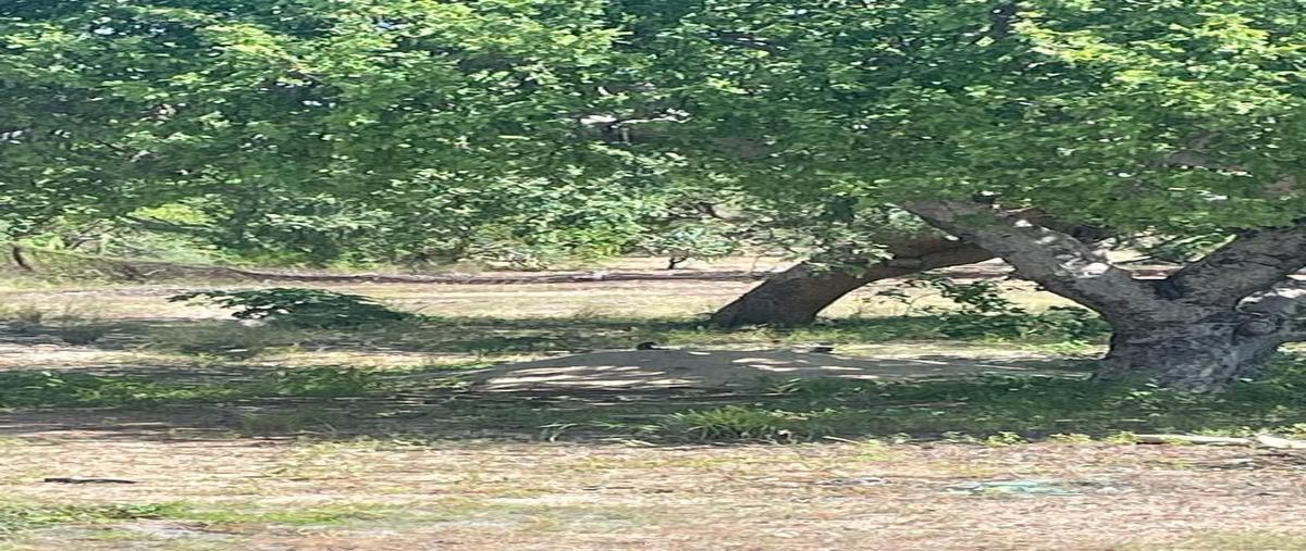 Foto de terreno habitacional en venta en  , calafia, la paz, baja california sur, 30022277 No. 03