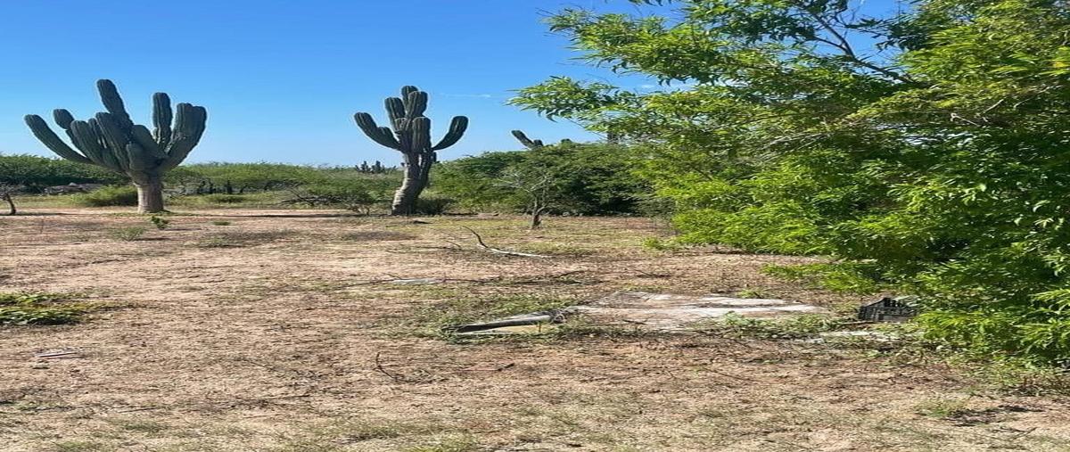 Foto de terreno habitacional en venta en  , calafia, la paz, baja california sur, 30022277 No. 04