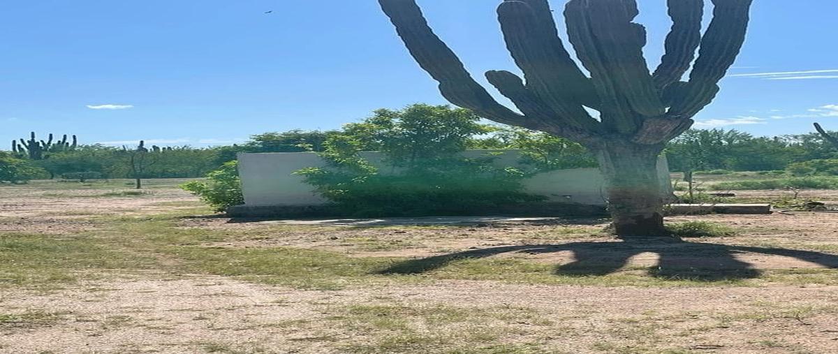 Foto de terreno habitacional en venta en  , calafia, la paz, baja california sur, 30022277 No. 05