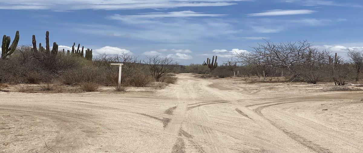 Foto de terreno habitacional en venta en  , calafia, la paz, baja california sur, 0 No. 05
