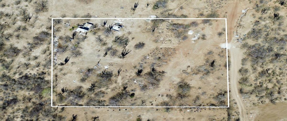 Foto de terreno habitacional en venta en  , calafia, la paz, baja california sur, 0 No. 01