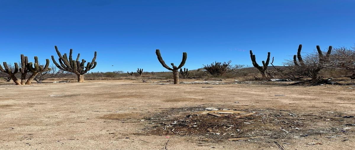 Foto de terreno habitacional en venta en  , calafia, la paz, baja california sur, 0 No. 04