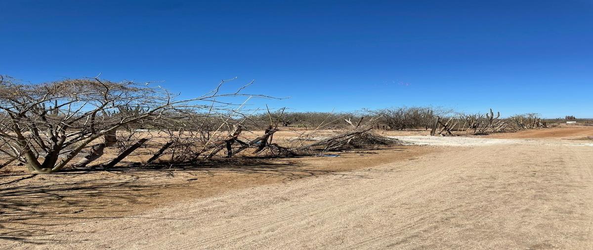 Foto de terreno habitacional en venta en  , calafia, la paz, baja california sur, 0 No. 05