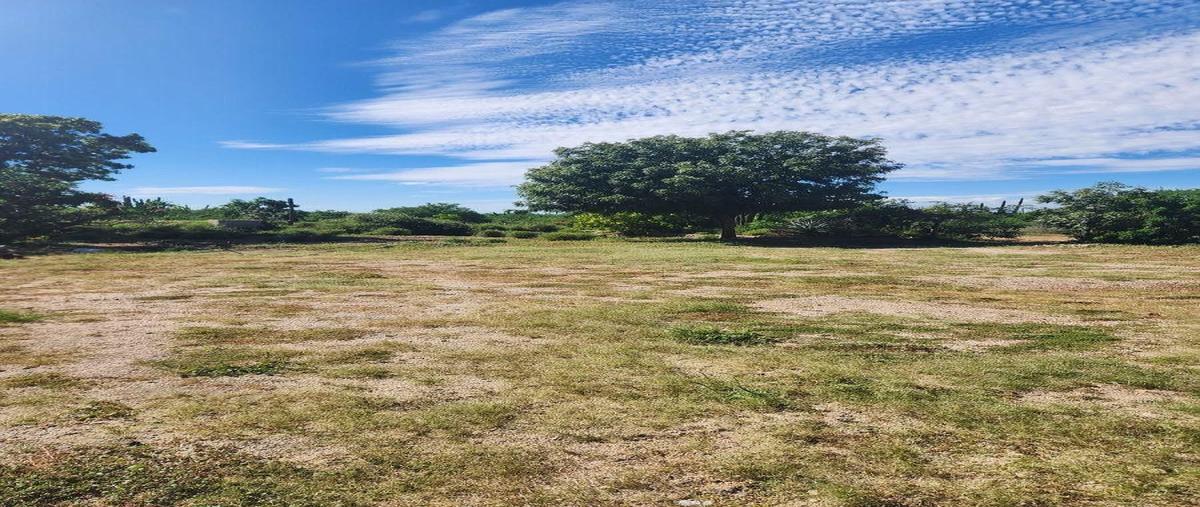 Foto de terreno habitacional en venta en  , calafia, la paz, baja california sur, 0 No. 03