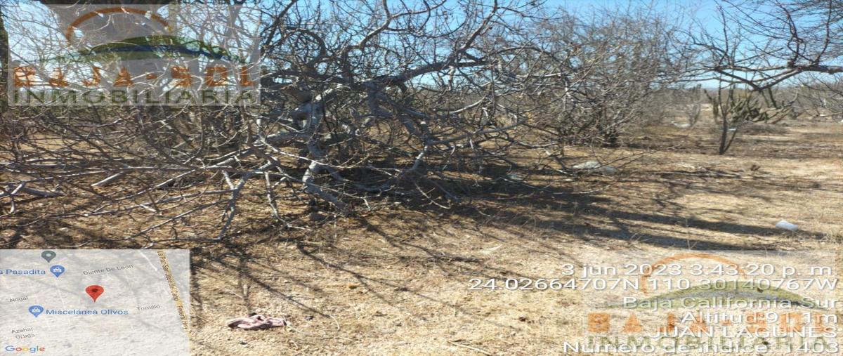 Foto de terreno habitacional en venta en  , calafia, la paz, baja california sur, 0 No. 03