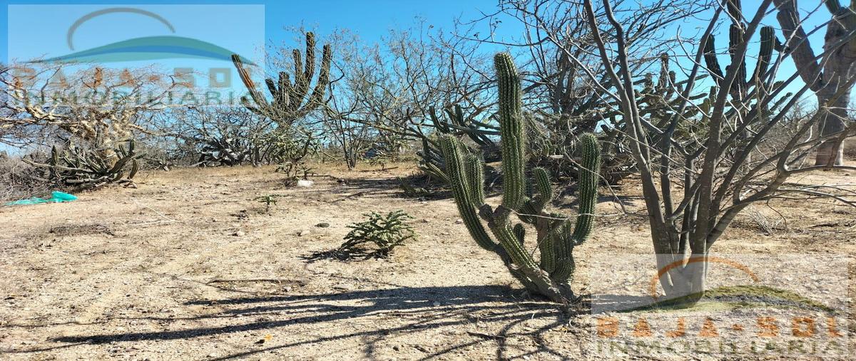 Foto de terreno habitacional en venta en  , calafia, la paz, baja california sur, 0 No. 04