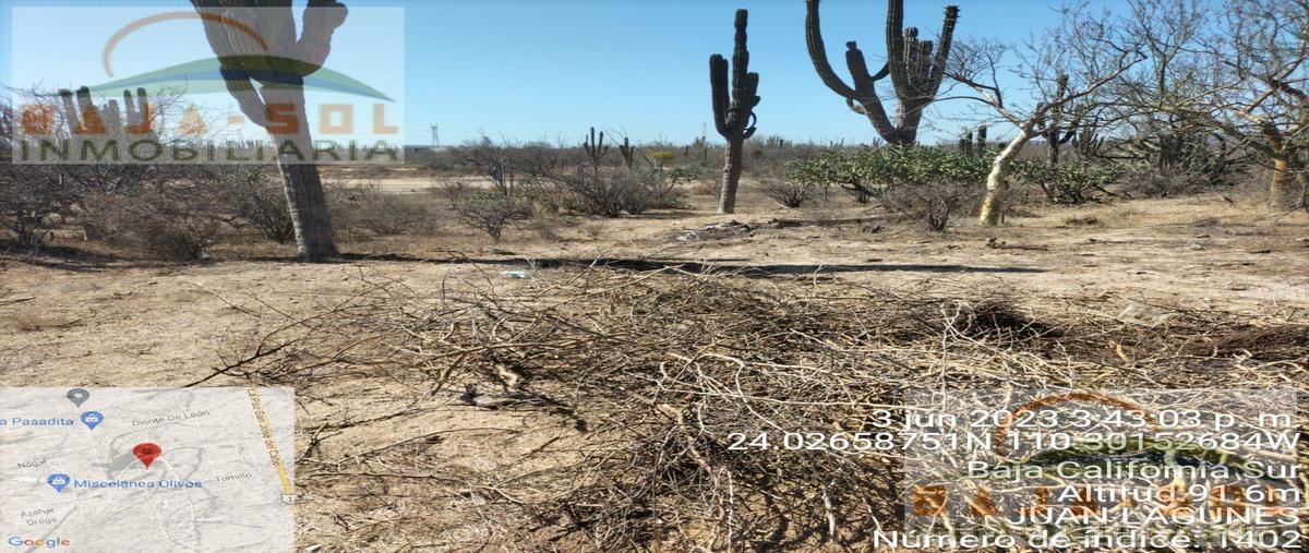Foto de terreno habitacional en venta en  , calafia, la paz, baja california sur, 0 No. 05