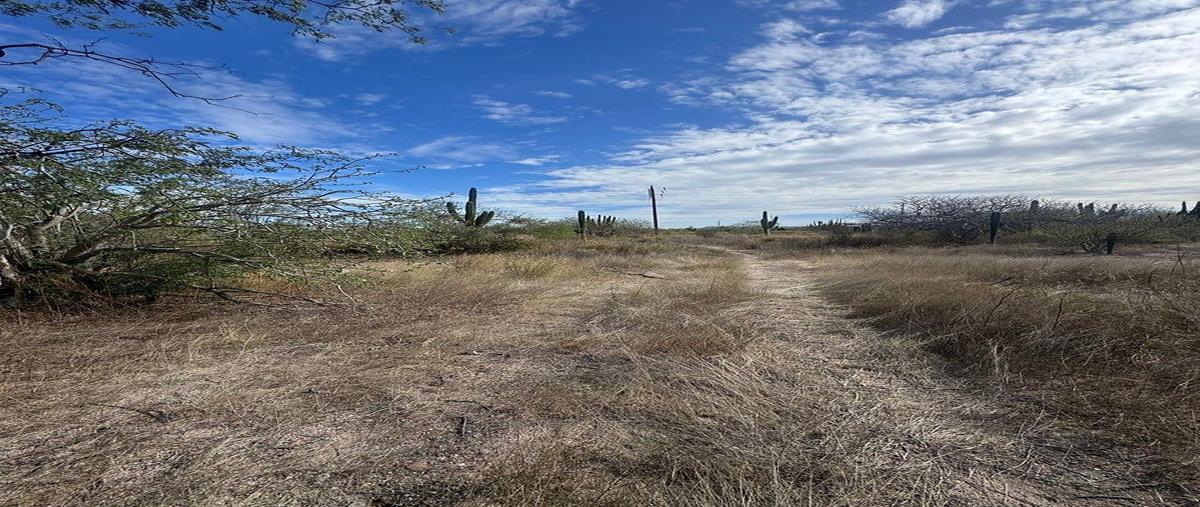 Foto de terreno habitacional en venta en  , calafia, la paz, baja california sur, 0 No. 03