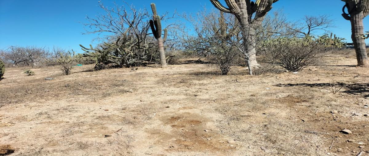 Foto de terreno habitacional en renta en calafia whi298259, calafia, la paz, baja california sur, 26680512 No. 04