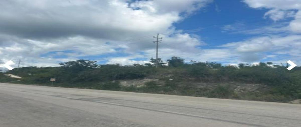 Foto de terreno habitacional en , calakmul, calakmul, campeche, 0 foto 01 Foto de terreno habitacional en venta en , calakmul, calakmul, campeche, 0 No. 01