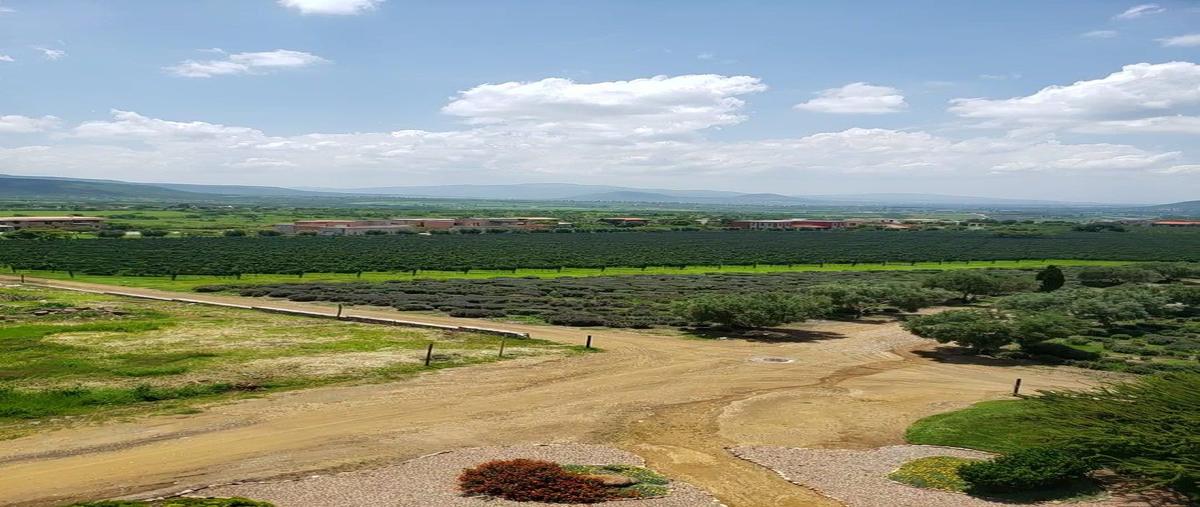 Foto de terreno habitacional en venta en  , calderón, san miguel de allende, guanajuato, 0 No. 03