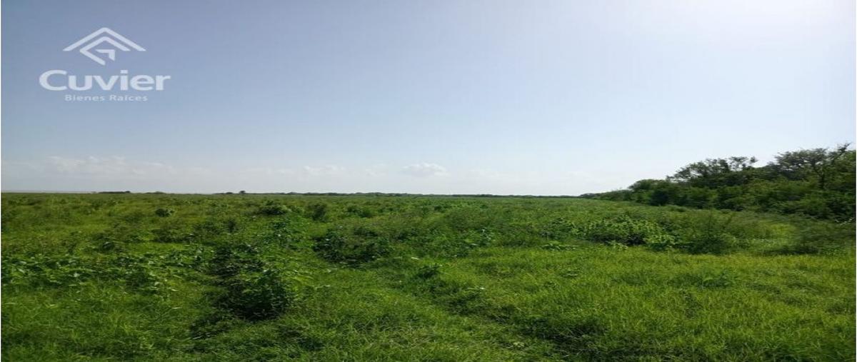 Foto de rancho en venta en  , calentadores dos, pánuco, veracruz de ignacio de la llave, 0 No. 03