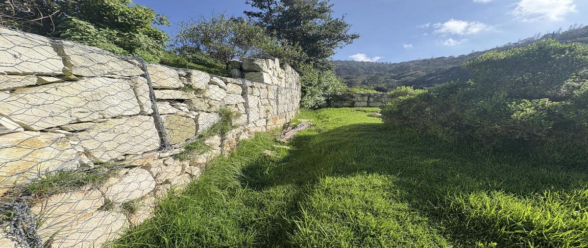 Foto de terreno habitacional en venta en  , calicanto, mineral del monte, hidalgo, 30263523 No. 04