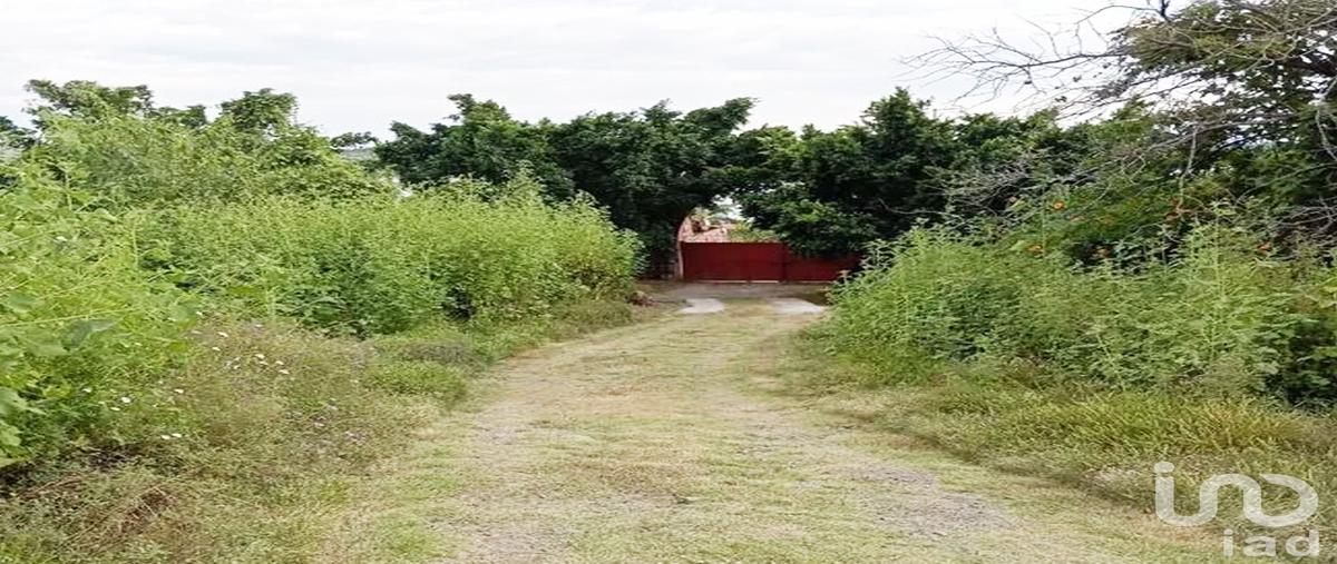 Foto de terreno habitacional en venta en california 66, el rodeo, miacatlán, morelos, 31038265 No. 04