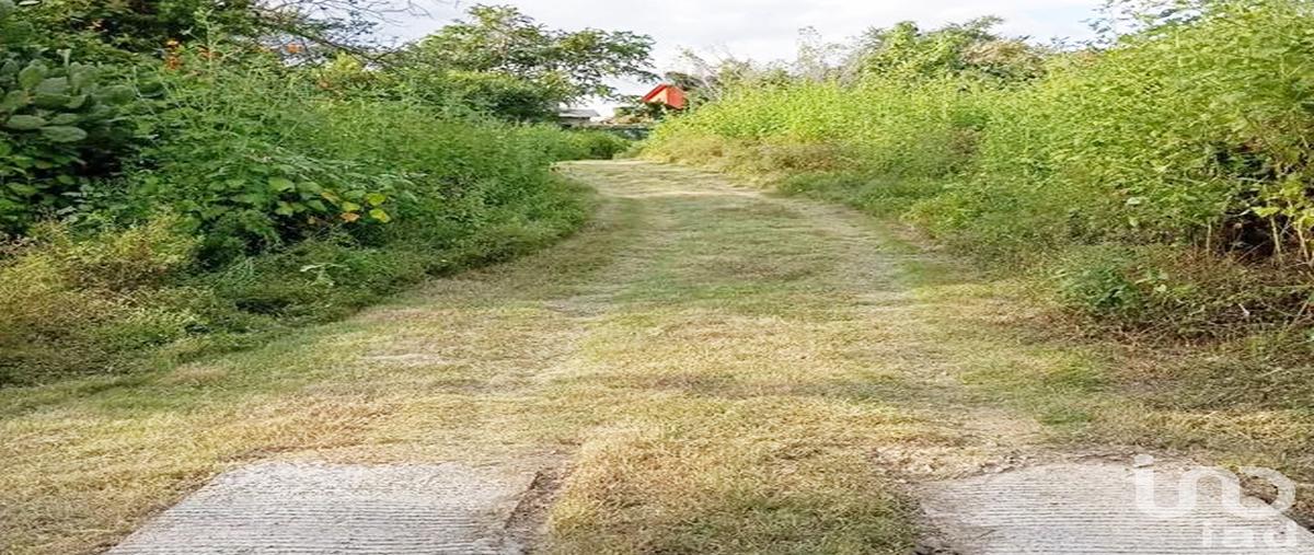 Foto de terreno habitacional en venta en california 66, el rodeo, miacatlán, morelos, 31038265 No. 05