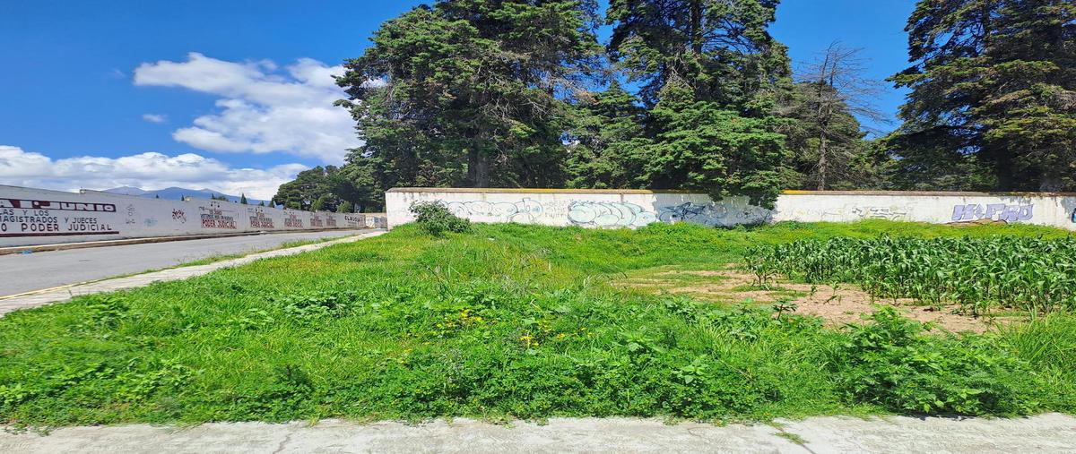 Foto de terreno habitacional en venta en  , calimaya, calimaya, méxico, 30274032 No. 05