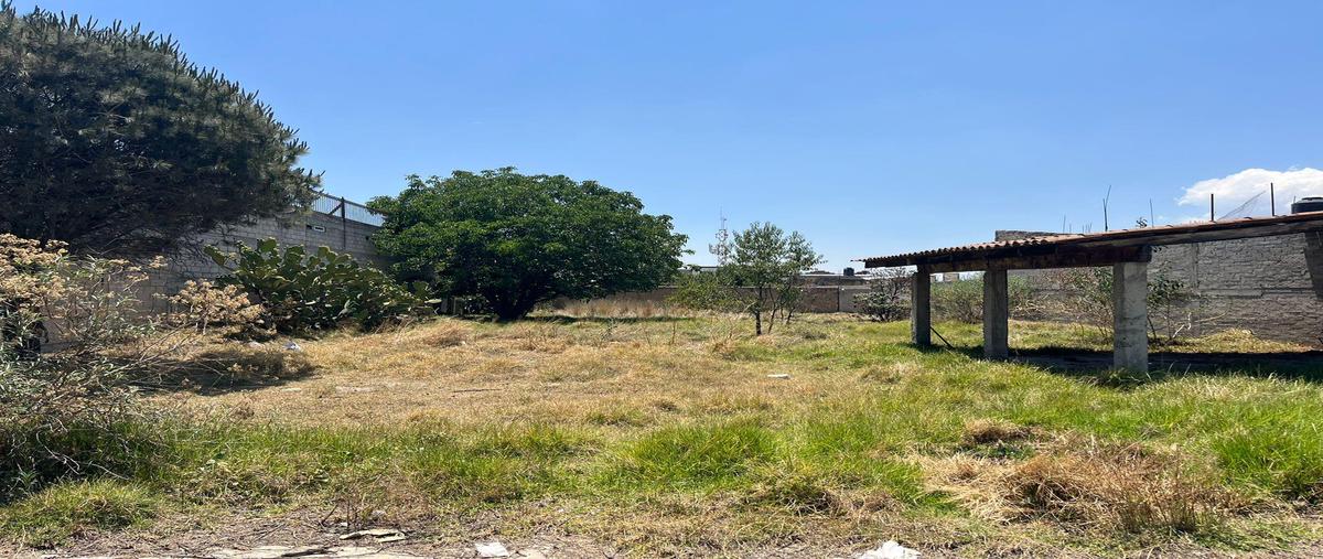 Foto de casa en venta en  , calimaya, calimaya, méxico, 0 No. 04