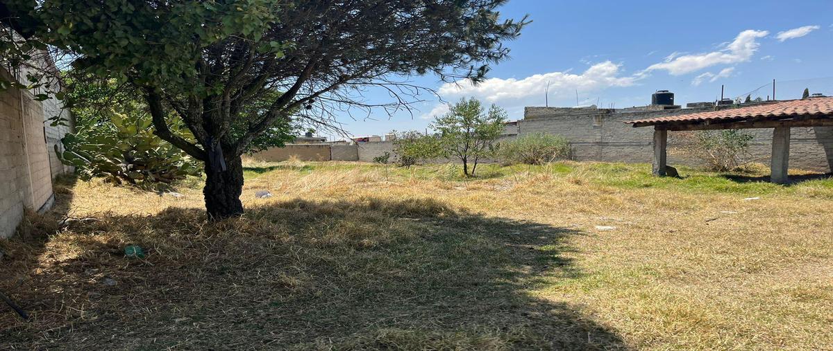 Foto de casa en venta en  , calimaya, calimaya, méxico, 0 No. 05