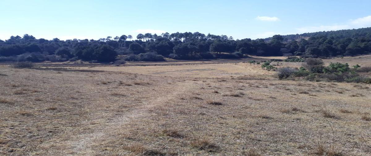 Foto de terreno habitacional en venta en calla vaquerias s.n, san agustín berros, villa victoria, méxico, 24875025 No. 03