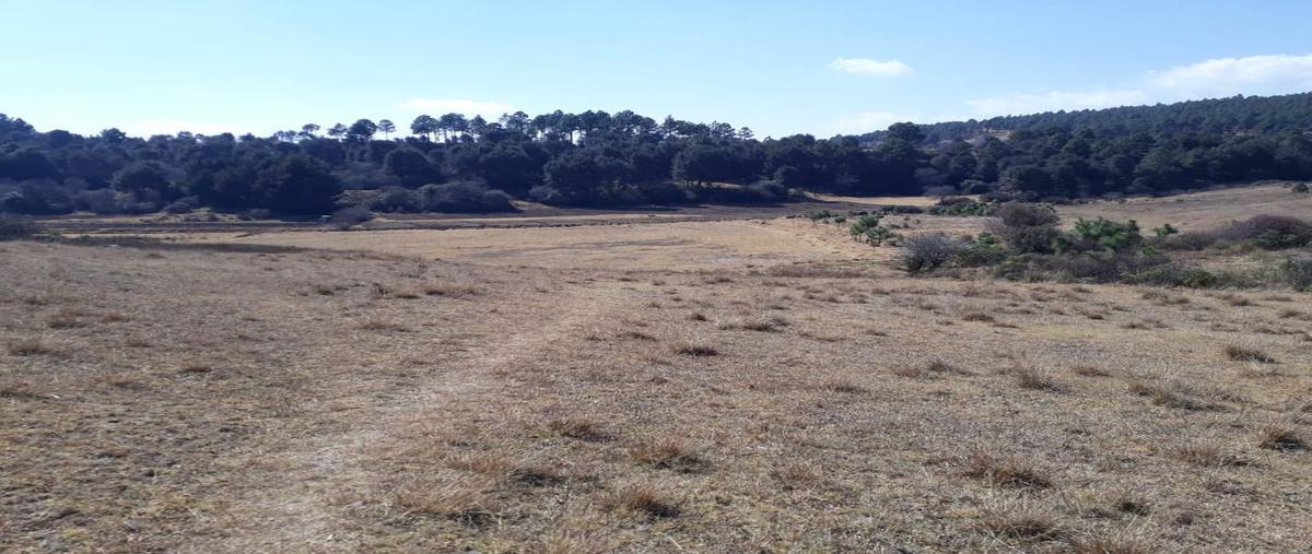 Foto de terreno habitacional en venta en calla vaquerias s.n, san agustín berros, villa victoria, méxico, 24875025 No. 05