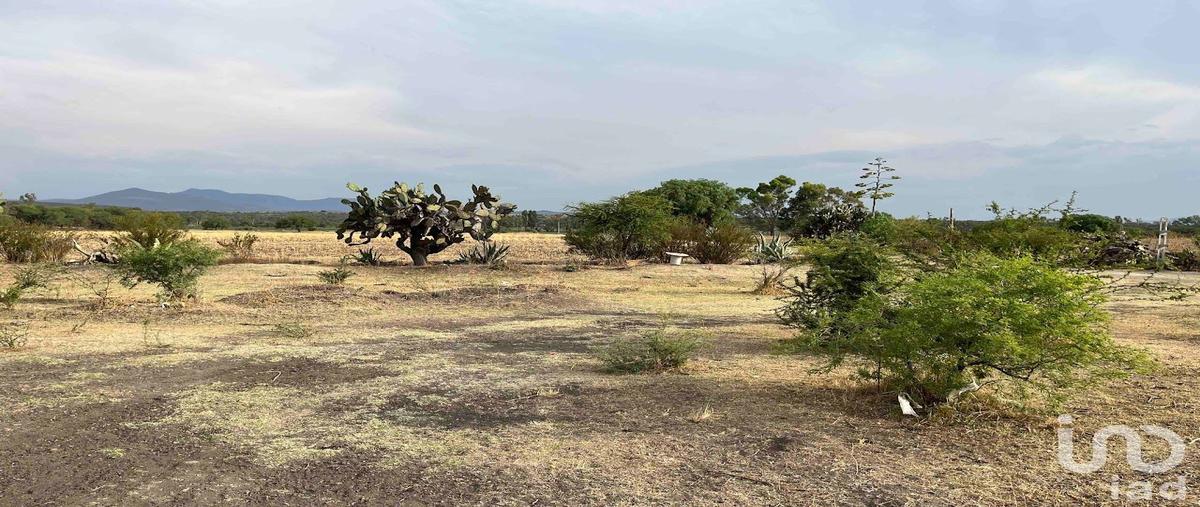 Foto de terreno comercial en venta en calle 1 101, la granada, apaseo el alto, guanajuato, 28723061 No. 05