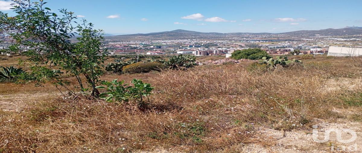 Foto de terreno habitacional en venta en calle 1 60, san juan tilcuautla, san agustín tlaxiaca, hidalgo, 30896877 No. 03