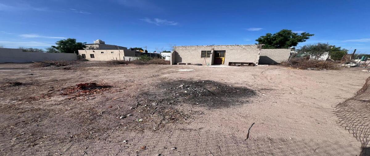 Foto de terreno habitacional en calle 1 , el centenario, la paz, baja california sur, 0 foto 03 Foto de terreno habitacional en venta en calle 1 , el centenario, la paz, baja california sur, 0 No. 03