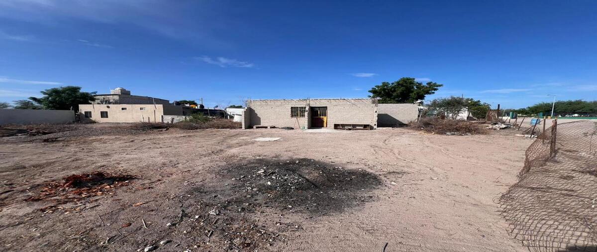 Foto de terreno habitacional en calle 1 , el centenario, la paz, baja california sur, 0 foto 05 Foto de terreno habitacional en venta en calle 1 , el centenario, la paz, baja california sur, 0 No. 05