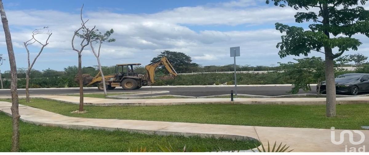 Foto de terreno habitacional en venta en calle 11 02 89, sitpach, mérida, yucatán, 28722649 No. 05