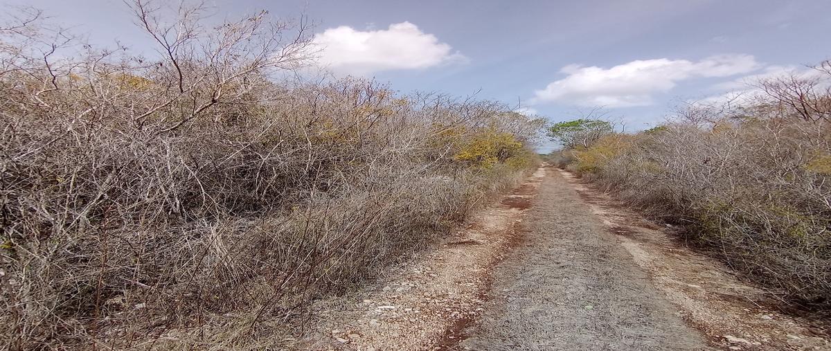 Foto de terreno habitacional en venta en calle 11 , san diego cutz, conkal, yucatán, 29934240 No. 04