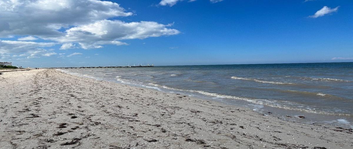 Foto de casa en calle 12 , telchac puerto, telchac puerto, yucatán, 27590292 foto 01 Foto de casa en renta en calle 12 , telchac puerto, telchac puerto, yucatán, 27590292 No. 01