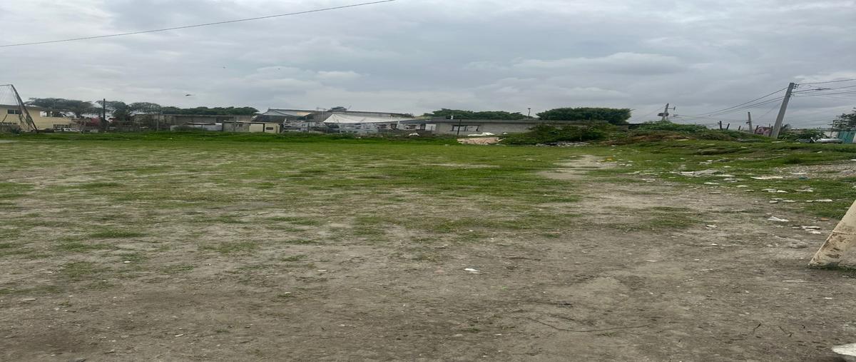 Foto de terreno habitacional en venta en calle 141 poniente y calle miguel hidalgo , san isidro castillotla, puebla, puebla, 30009687 No. 05