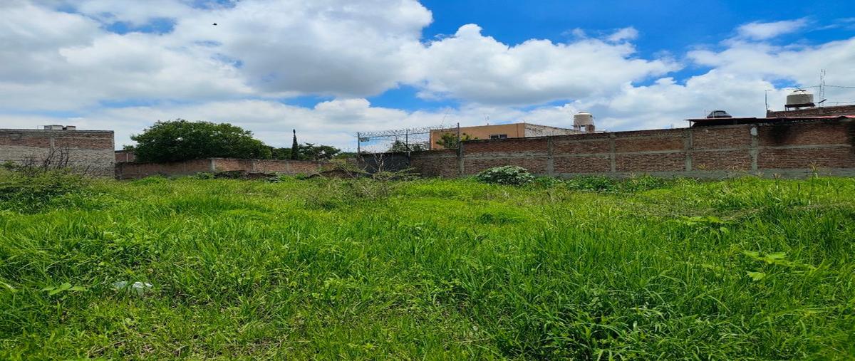 Foto de terreno habitacional en venta en calle 16 de septiembre , el verde, el salto, jalisco, 0 No. 03