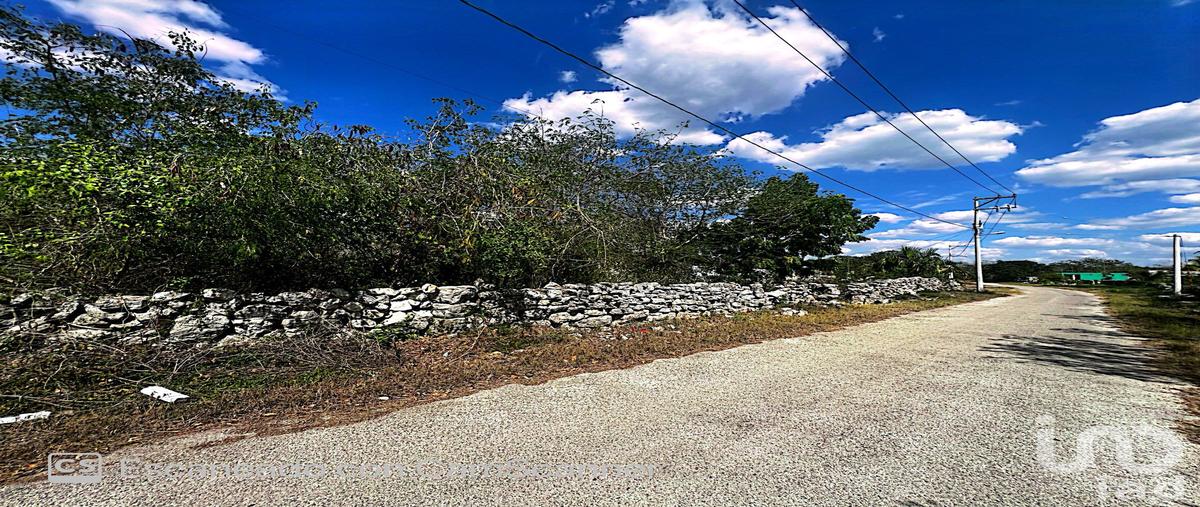 Foto de terreno habitacional en calle 17 195, kinchil, kinchil, yucatán, 28724273 foto 01 Foto de terreno habitacional en venta en calle 17 195, kinchil, kinchil, yucatán, 28724273 No. 01