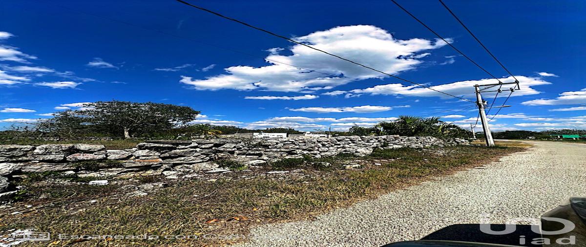 Foto de terreno habitacional en calle 17 195, kinchil, kinchil, yucatán, 28724273 foto 02 Foto de terreno habitacional en venta en calle 17 195, kinchil, kinchil, yucatán, 28724273 No. 02