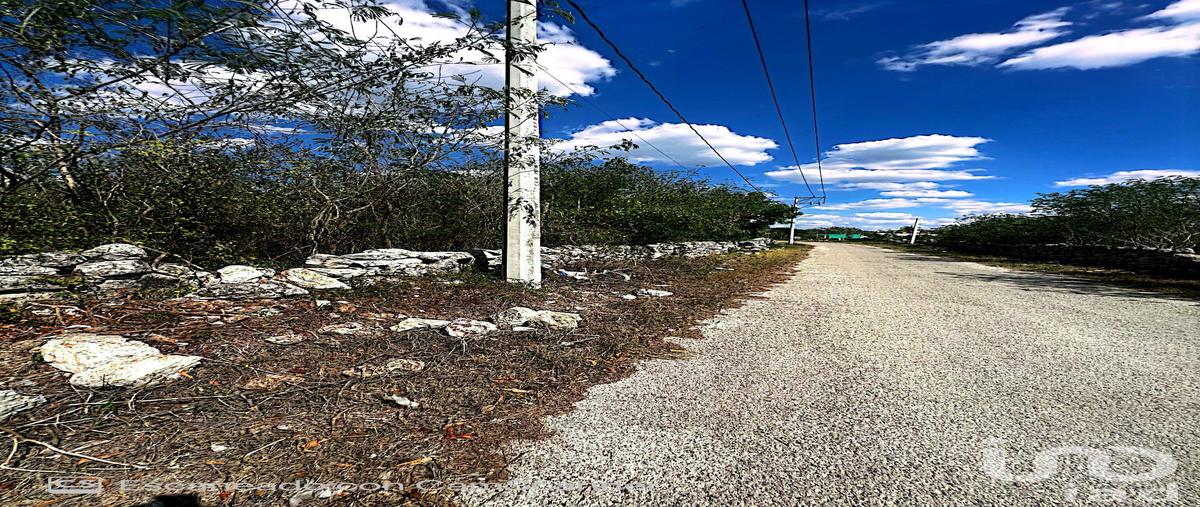 Foto de terreno habitacional en venta en calle 17 196, kinchil, kinchil, yucatán, 28724273 No. 05