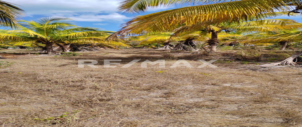 Foto de terreno habitacional en venta en calle 17 , dzilam de bravo, dzilam de bravo, yucatán, 0 No. 05