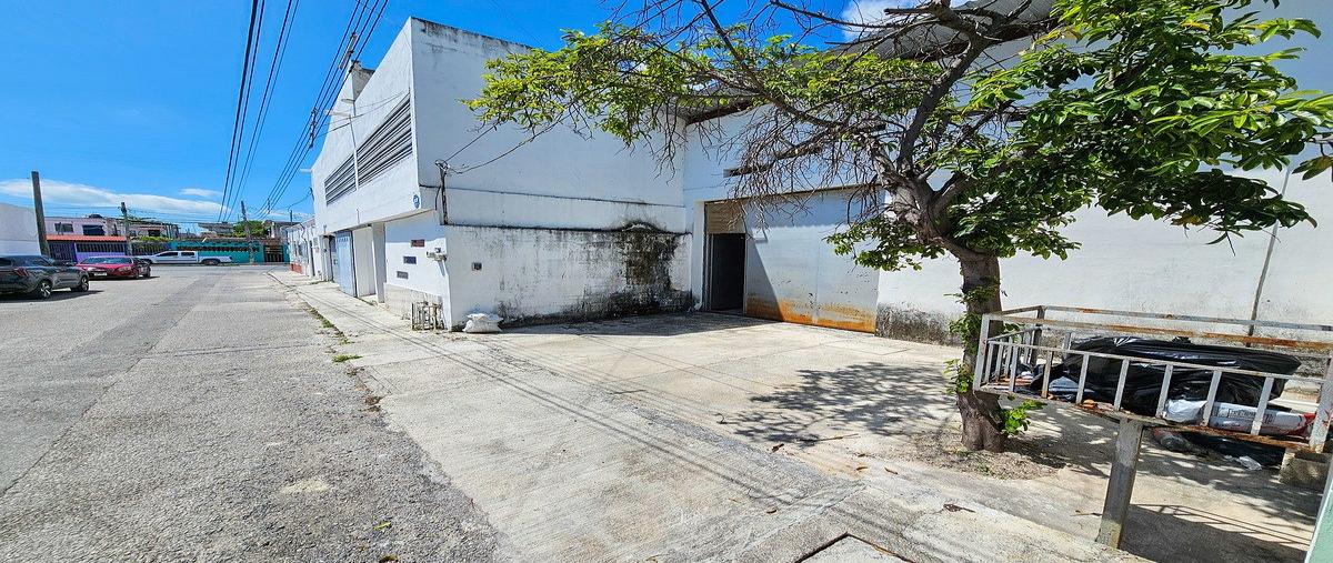 Foto de bodega en renta en calle 17 , supermanzana 67, benito juárez, quintana roo, 31116703 No. 03