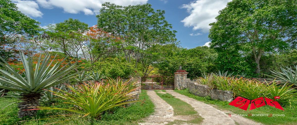Foto de casa en calle 18 x 33 - hotel-santo-domingo , izamal, izamal, yucatán, 0 foto 04 Foto de casa en venta en calle 18 x 33 - hotel-santo-domingo , izamal, izamal, yucatán, 0 No. 04