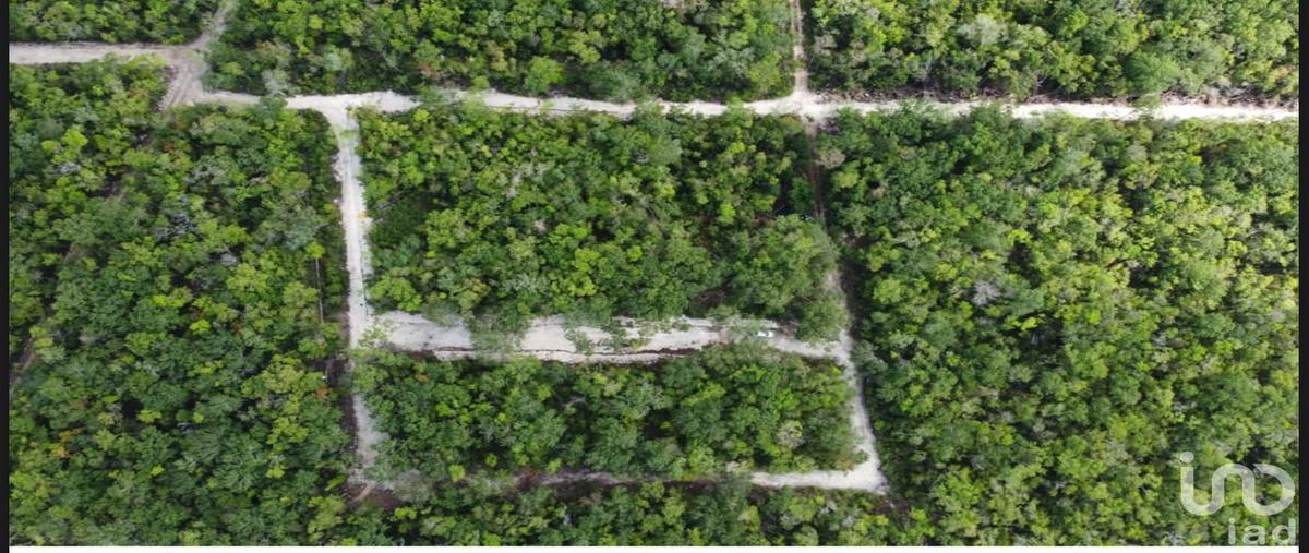 Foto de terreno habitacional en venta en calle 19 poniente 82, tulum centro, tulum, quintana roo, 30226342 No. 03