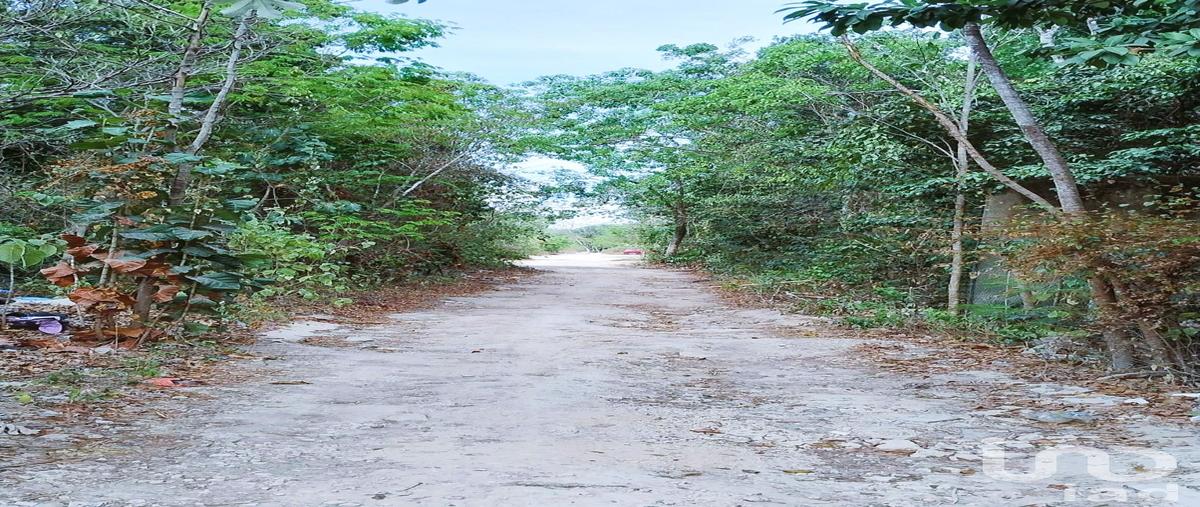Foto de terreno comercial en venta en calle 19 sur esquina avenida 5 sur , la veleta, tulum, quintana roo, 28900030 No. 05
