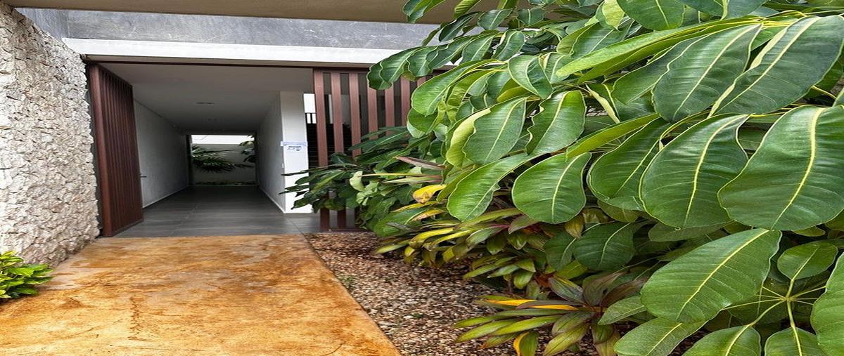 Foto de departamento en renta en calle 2 , santa gertrudis copo, mérida, yucatán, 0 No. 04