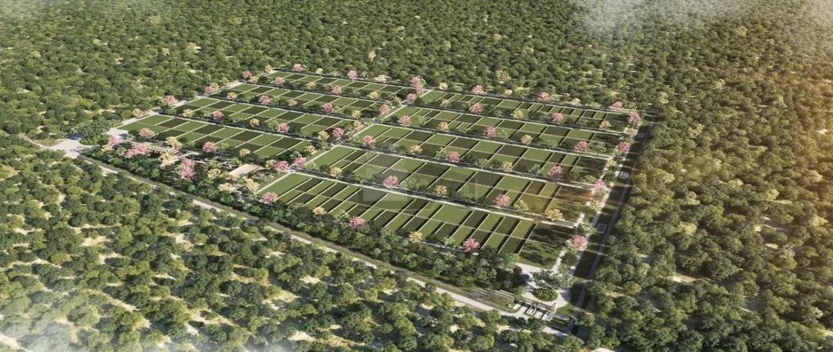 Foto de terreno habitacional en venta en calle 20 20, dzemul, dzemul, yucatán, 25289941 No. 03