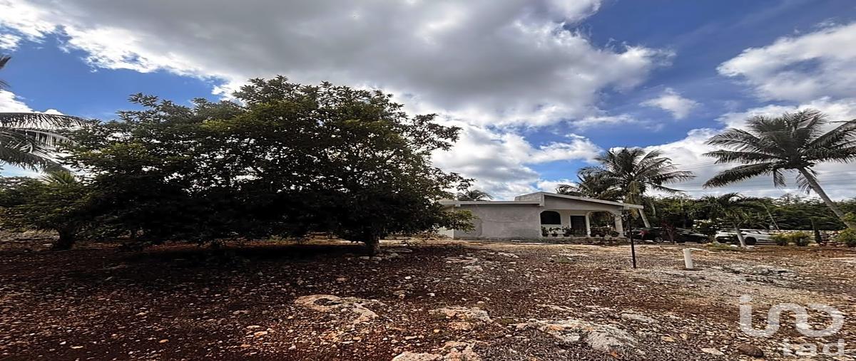 Foto de terreno habitacional en venta en calle 20 227, centro telchac pueblo, telchac pueblo, yucatán, 31876521 No. 04