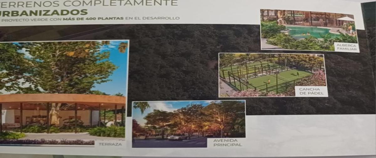 Foto de terreno habitacional en calle 20 438, méxico norte, mérida, yucatán, 0 foto 04 Foto de terreno habitacional en venta en calle 20 438, méxico norte, mérida, yucatán, 0 No. 04