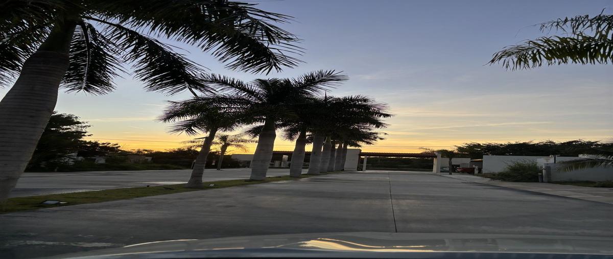 Foto de casa en venta en calle 20 , tamanché, mérida, yucatán, 0 No. 04