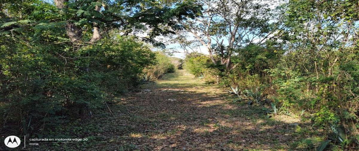 Foto de terreno habitacional en venta en calle 20-a 1, san jose tzal, mérida, yucatán, 30120598 No. 02