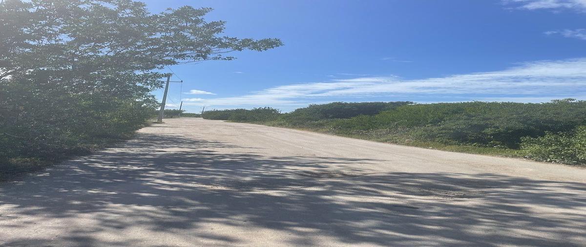 Foto de terreno habitacional en calle 21avenida carrillo puerto , sisal, hunucmá, yucatán, 0 foto 03 Foto de terreno habitacional en venta en calle 21avenida carrillo puerto , sisal, hunucmá, yucatán, 0 No. 03