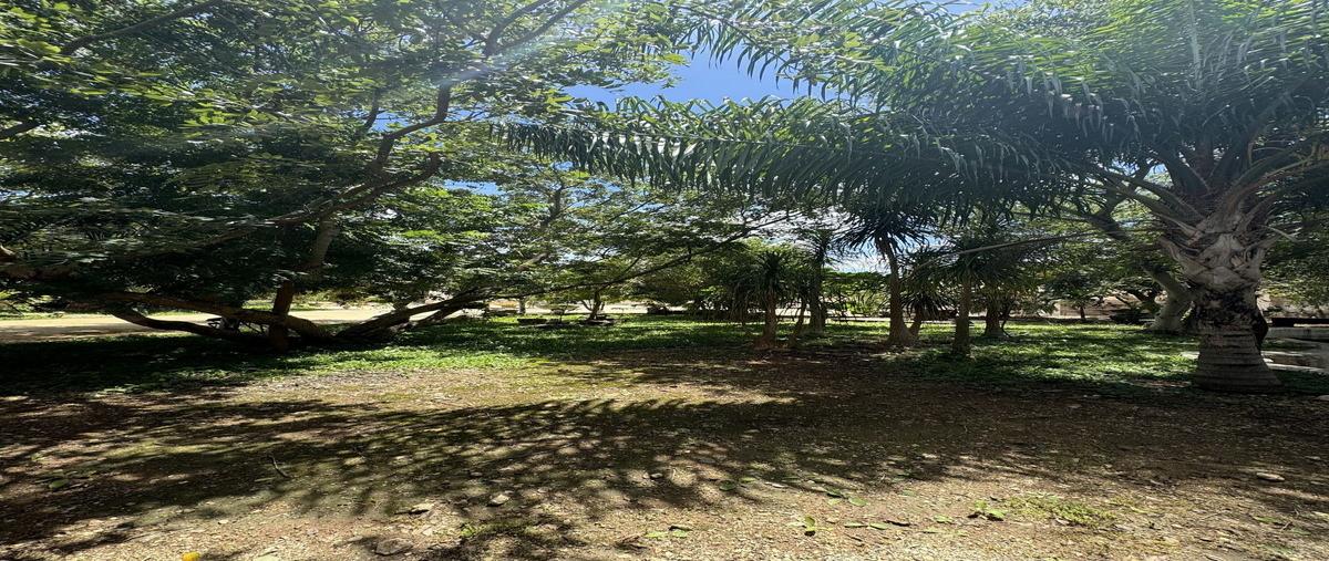 Foto de rancho en venta en calle 22 , conkal, conkal, yucatán, 0 No. 03